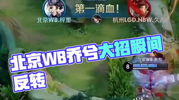 己多年积累 己多年积累